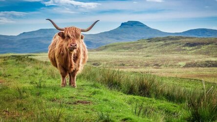 16 Day Britain and Ireland Explorer (Costsaver)